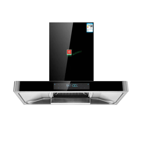 CXW-268-YH-T20A